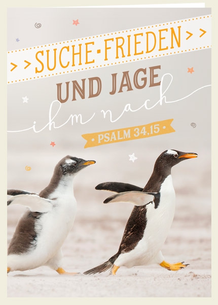 Faltkarte - Suche Frieden (Pinguine)