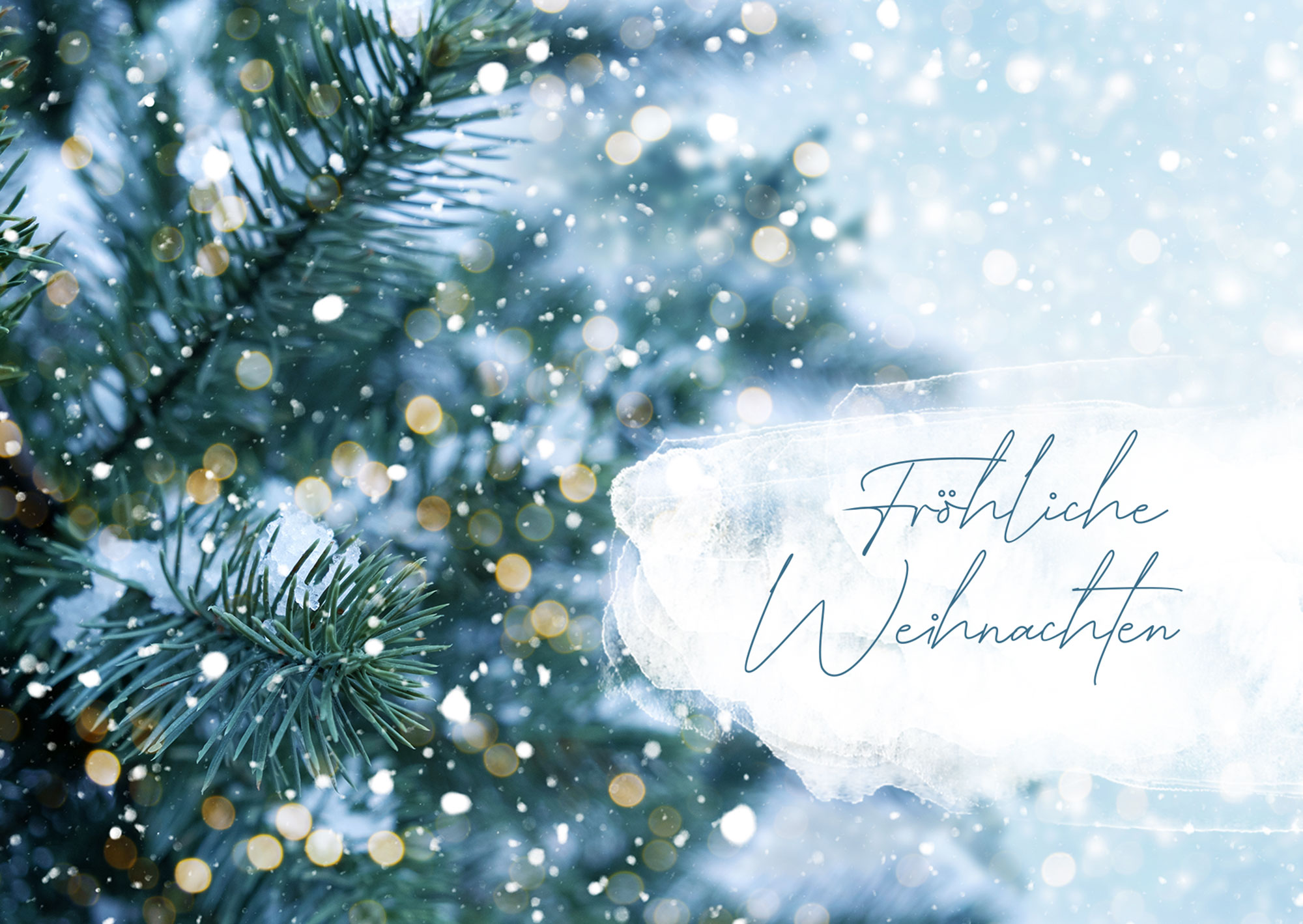 Postkarte - Fröhliche Weihnachten (Zweige) – Weihnachten