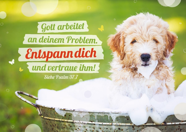 Postkarte - Entspann dich und vertraue