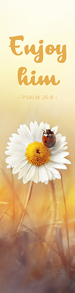 Segenszeichen - Enjoy him (Marienkäfer)