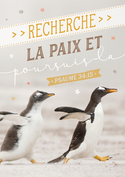 Postkarte - Recherche la paix (Pingouins)