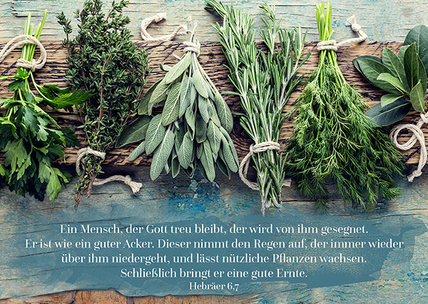 Postkarte - Kräuter