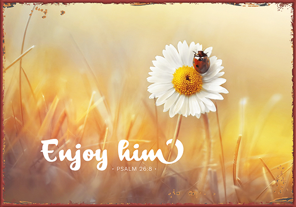 Metallschild klein - Enjoy him (Marienkäfer)