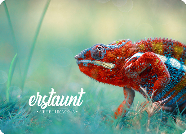 XL-Postkarte Big Blessing – Erstaunt