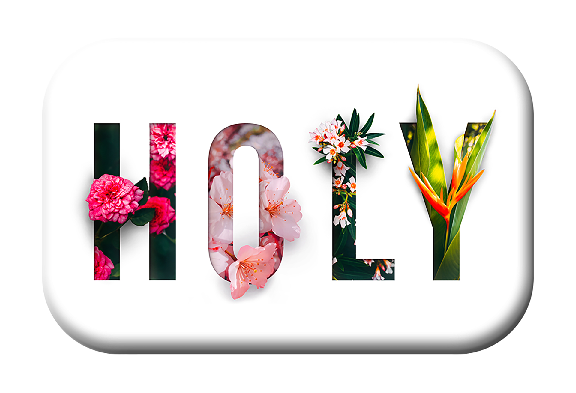 Magnet Mag Blessing - HOLY