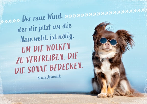 Postkarte - Der raue Wind