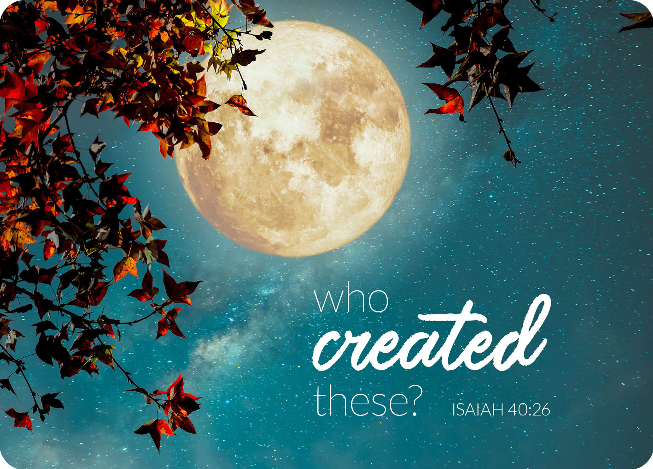 XL-Postkarte Big Blessing - Who created these