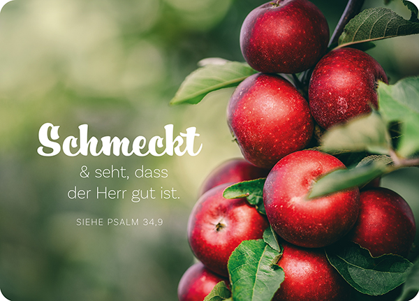 XL-Postkarte Big Blessing - Schmeckt und seht (Äpfel)