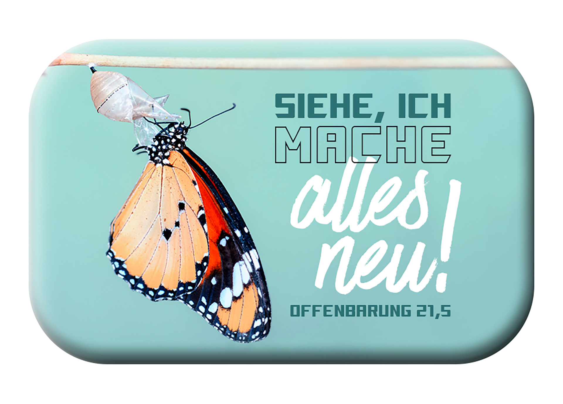 Magnet Mag Blessing - Jahreslosung 2026 - Schmetterling