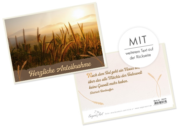 Faltkarte - Herzliche Anteilnahme (Feld)