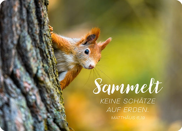 XL-Postkarte Big Blessing - Sammelt keine Schätze