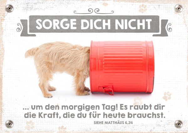 Postkarte - Sorge dich nicht (Hund)