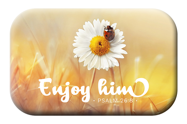 Magnet Mag Blessing - Enjoy him (Marienkäfer)