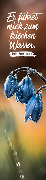 Segenszeichen - Er führet mich