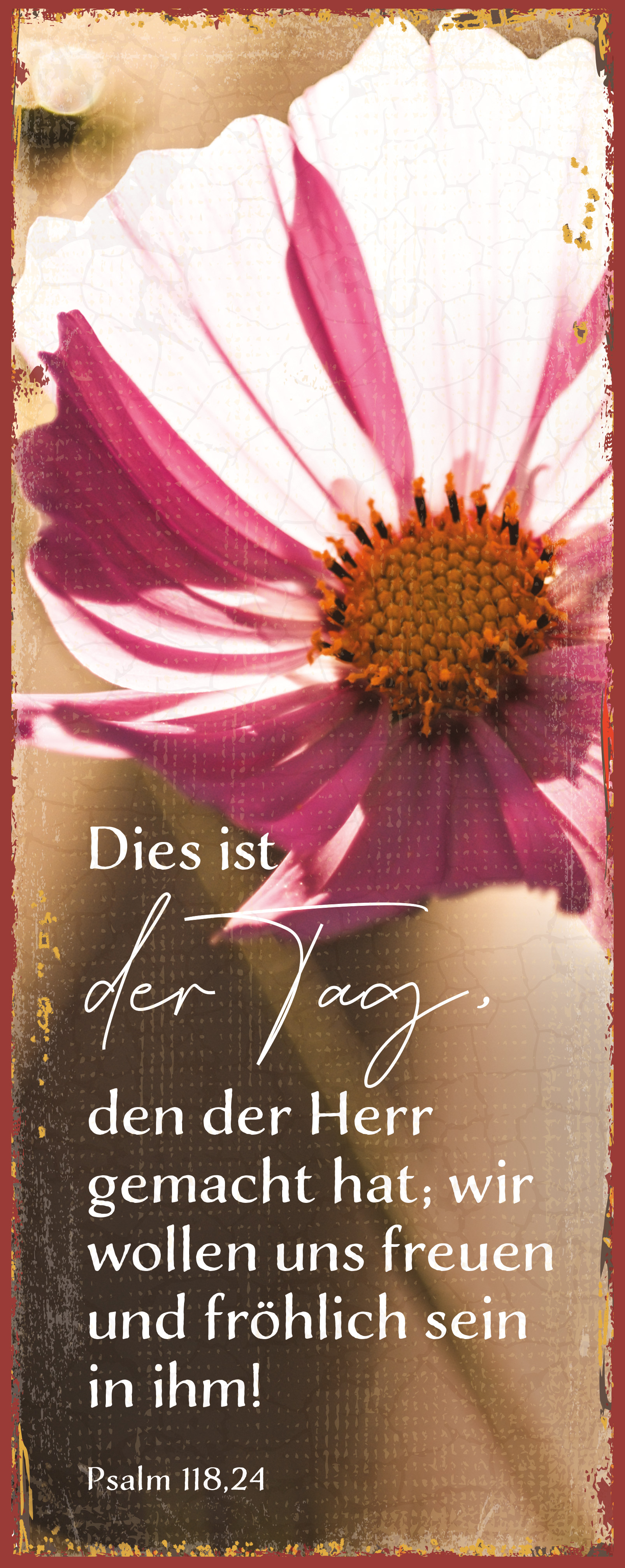 Metallschild lang - Dies ist der Tag