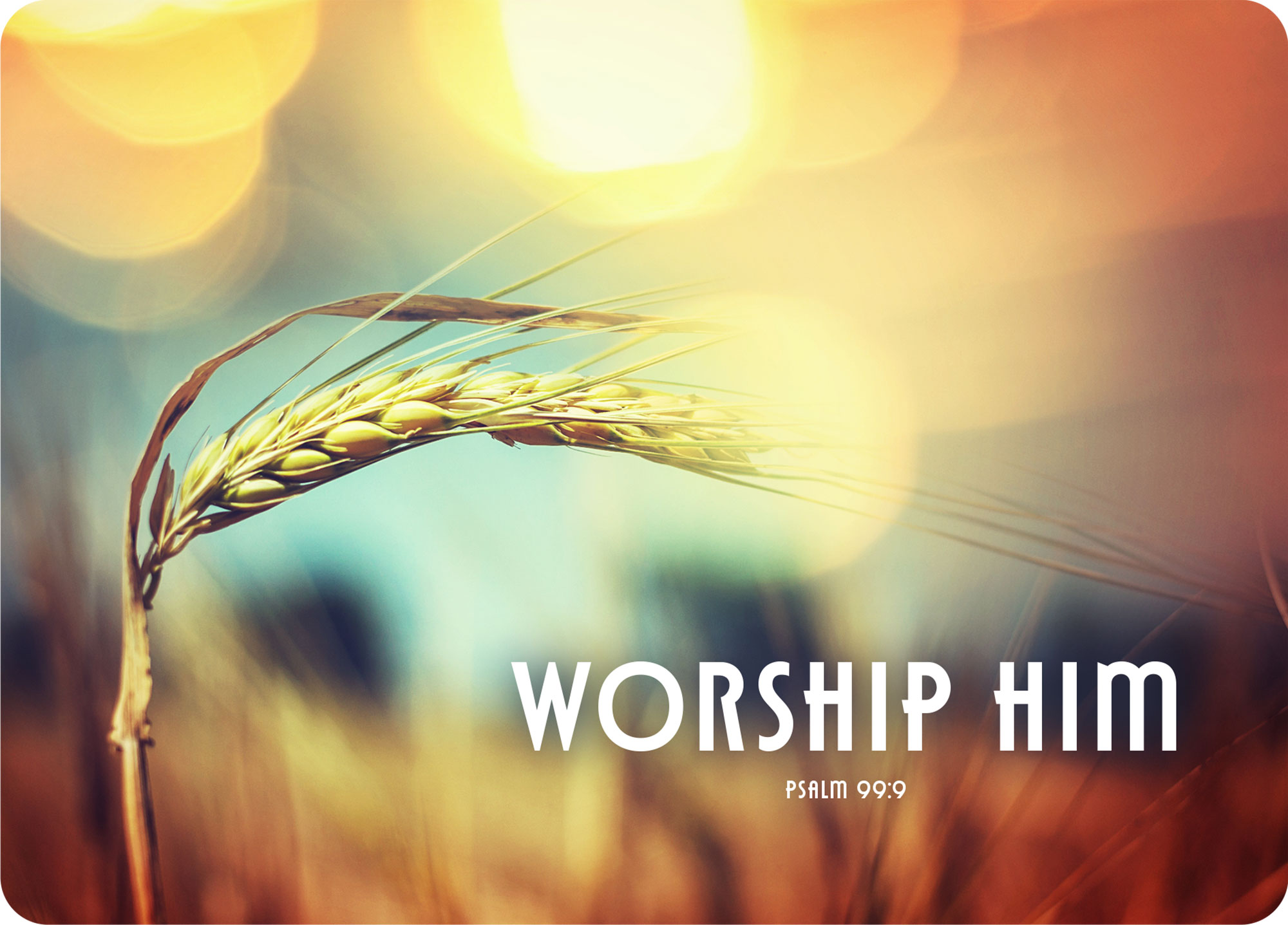 XL-Postkarte Big Blessing - Worship him