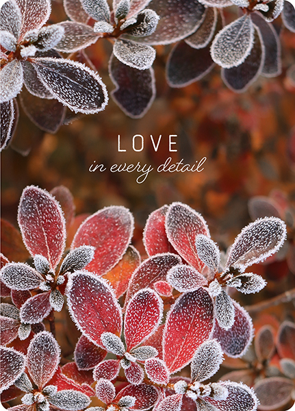 XL-Postkarte Big Blessing - Love (Pflanze)