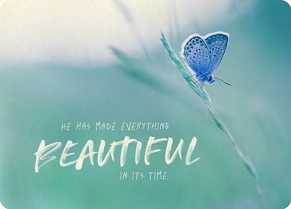 XL-Postkarte Big Blessing - Beautiful in its time