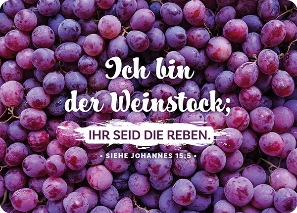 XL-Postkarte Big Blessing - Weinstock