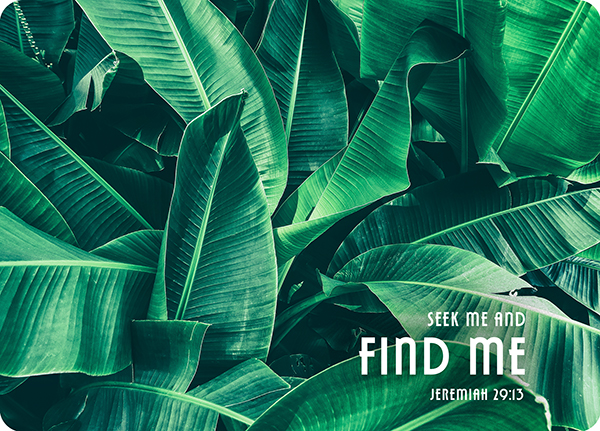 XL-Postkarte Big Blessing - Find me