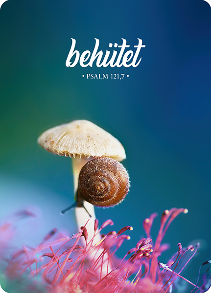 XL-Postkarte Big Blessing – Behütet