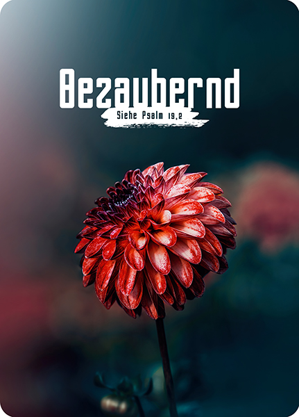 XL-Postkarte Big Blessing – Bezaubernd