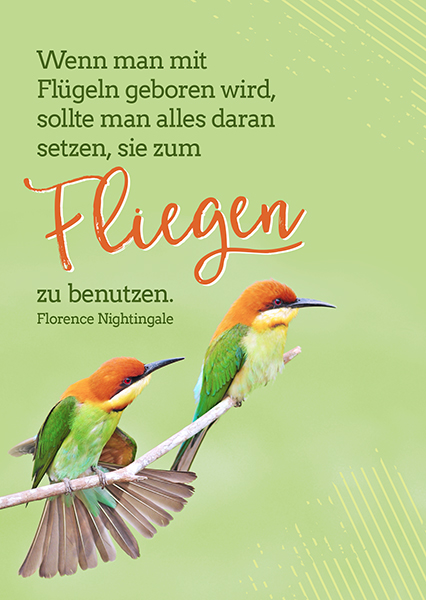 Postkarte - Mit Flügeln geboren (Vögel)