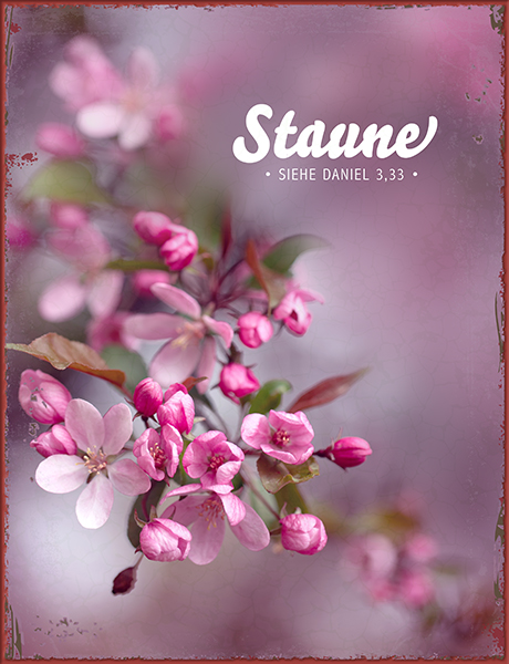 Metallschild groß - Staune (Blüten)