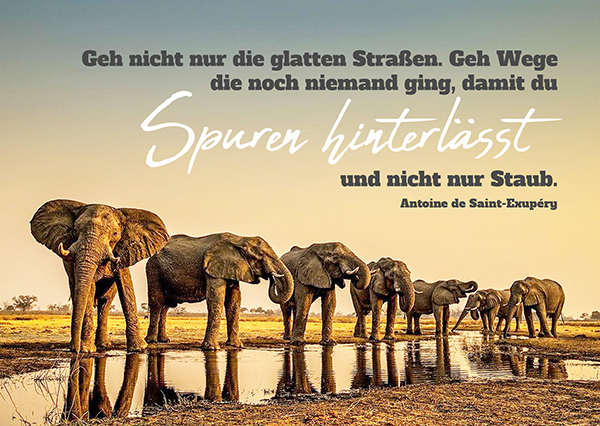 Postkarte - Spuren hinterlässt (Elefanten)
