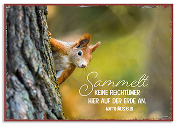 Metallschild klein - Sammelt keine Schätze