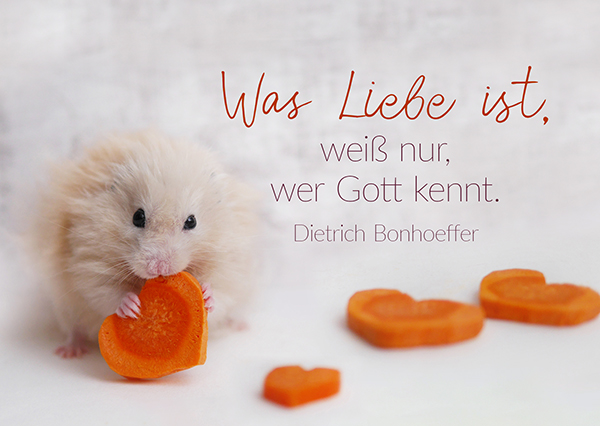 Postkarte - Was Liebe ist