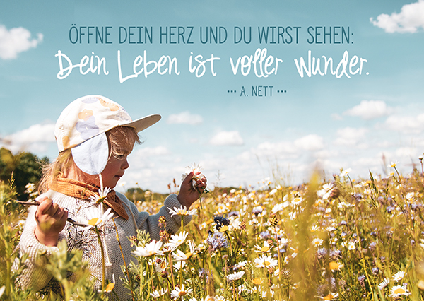 Postkarte - Voller Wunder