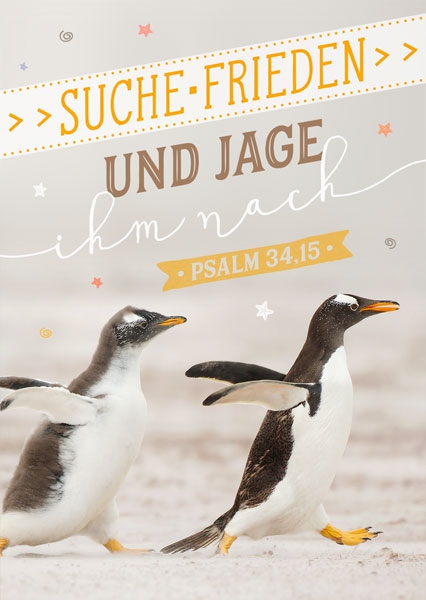 Postkarte - Suche Frieden (Pinguine)