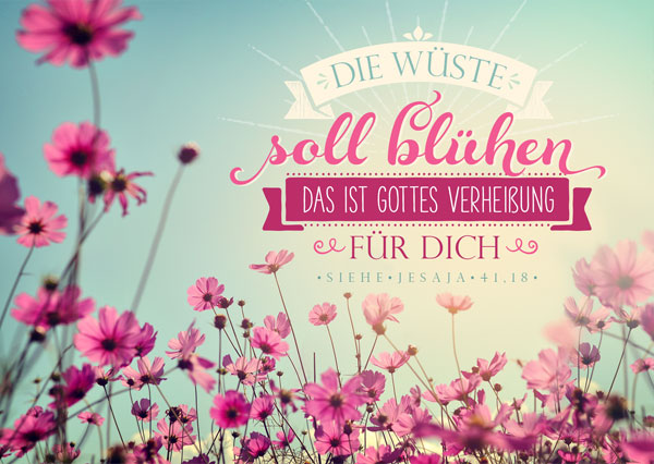 Postkarte - Blühende Wüste