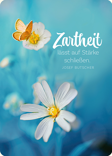 XL-Postkarte Big Blessing - Zartheit (Schmetterling)