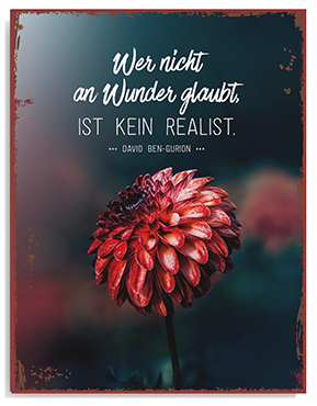Metallschild groß - Wer nicht an Wunder glaubt (Blume)