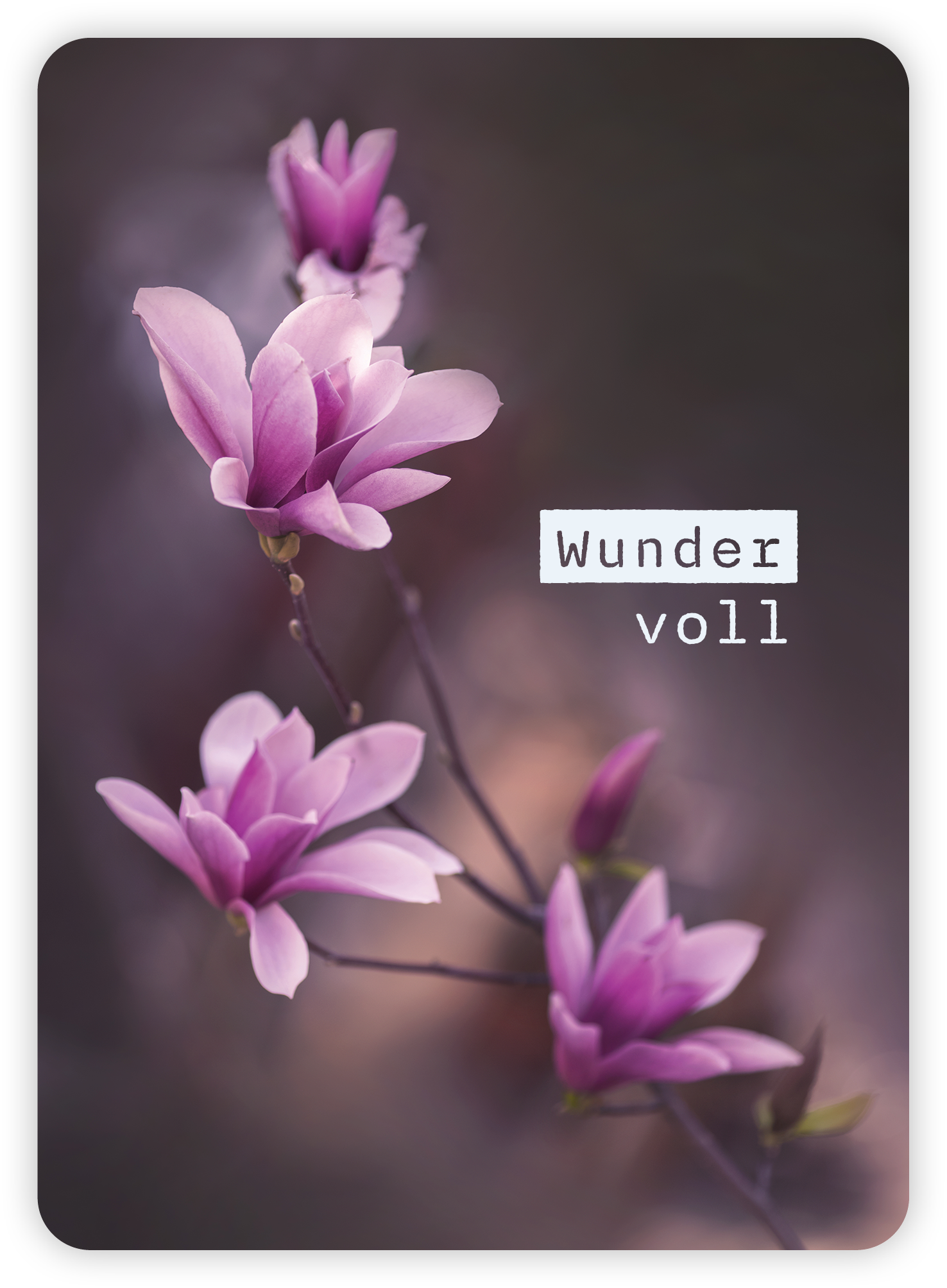 XL-Postkarte Big Blessing - Wundervoll