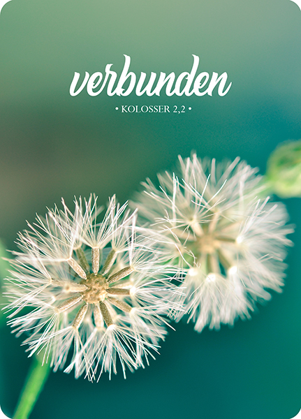 XL-Postkarte Big Blessing – Verbunden