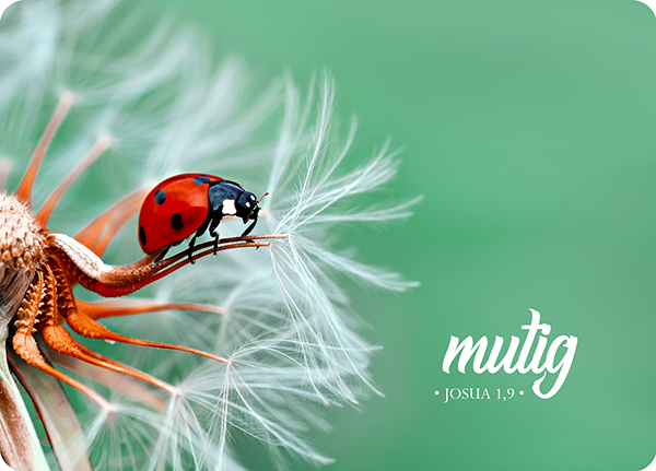 XL-Postkarte Big Blessing – Mutig