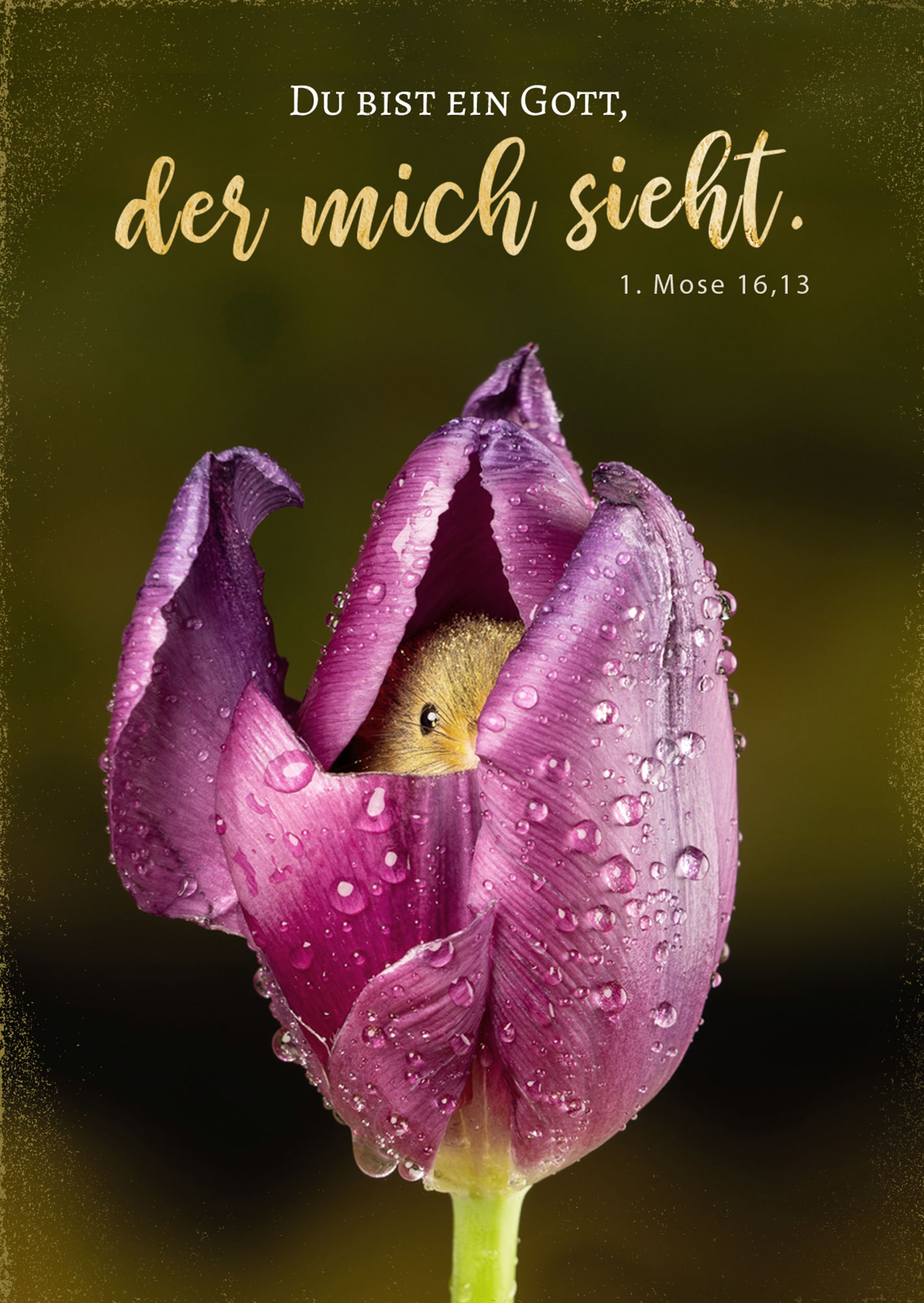 Postkarte - Du bist ein Gott, der mich sieht