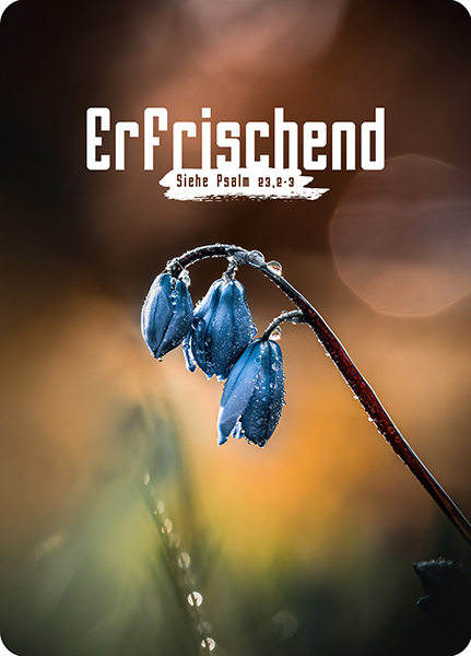 XL-Postkarte Big Blessing – Erfrischend