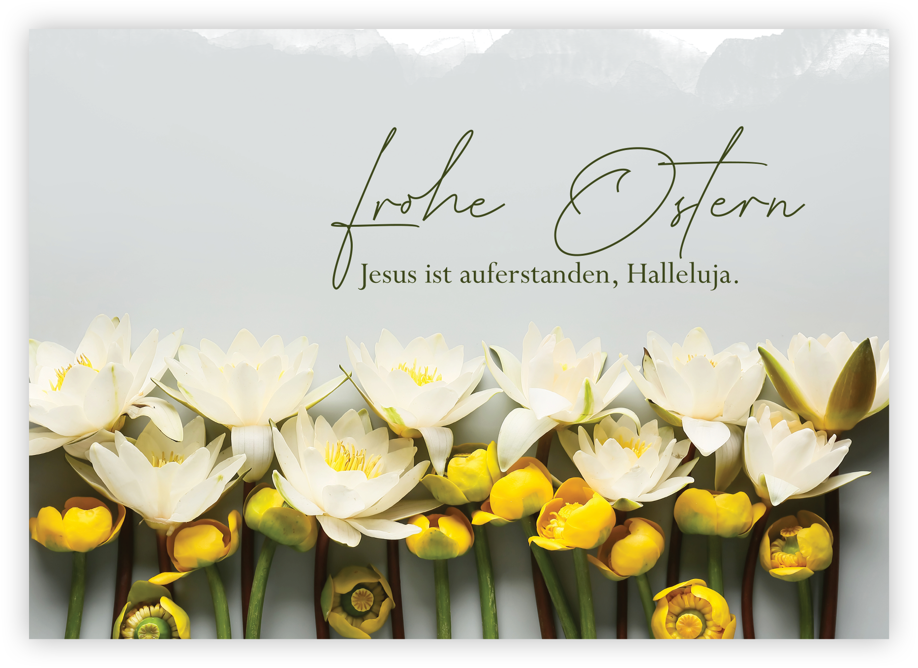 Faltkarte - Jesus ist auferstanden (Frohe Ostern)