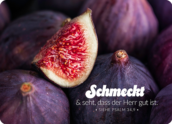 XL-Postkarte Big Blessing - Schmeckt und seht (Feige)