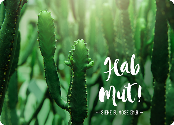 XL-Postkarte Big Blessing - Hab Mut