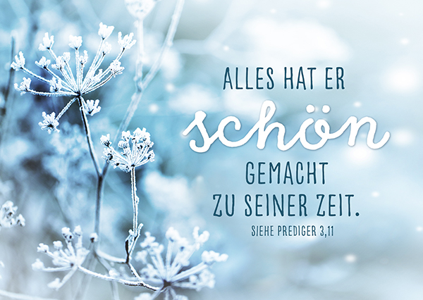 Postkarte - Schön gemacht