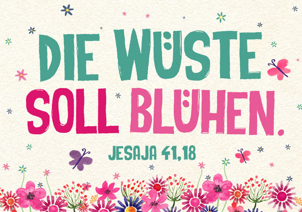 Mini - Wüste soll blühen