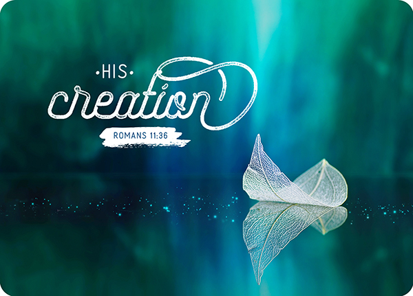 XL-Postkarte Big Blessing – His creation