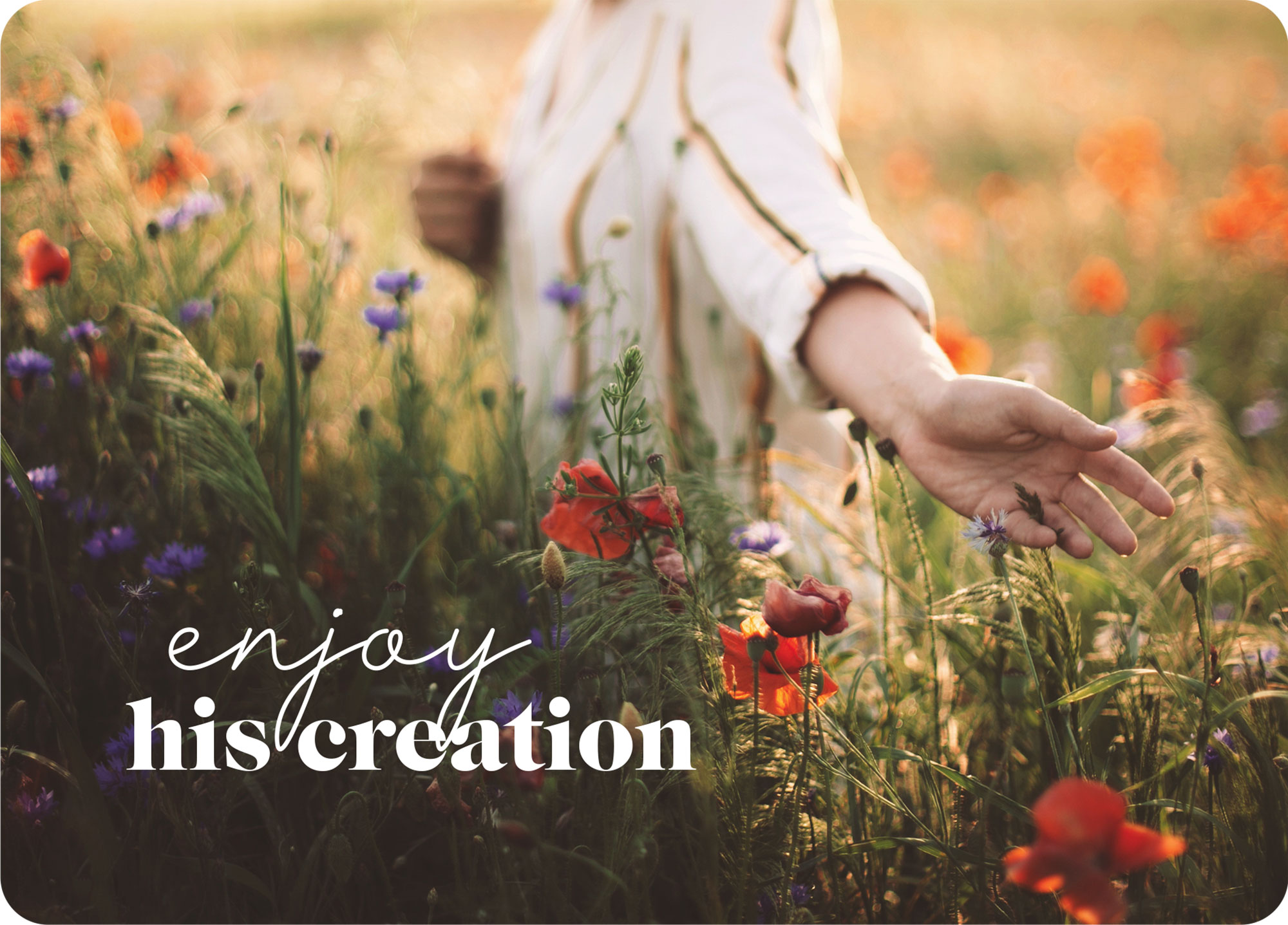 XL-Postkarte Big Blessing - Enjoy his creation